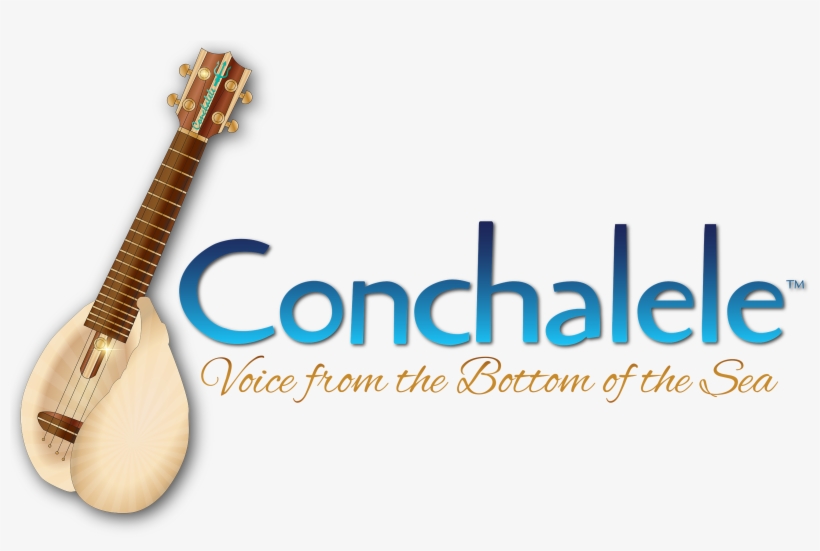 Indian Musical Instruments, transparent png #9524930