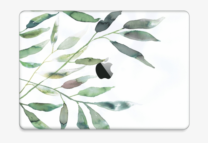 Ramas De Olivo - Illustration, transparent png #9525738
