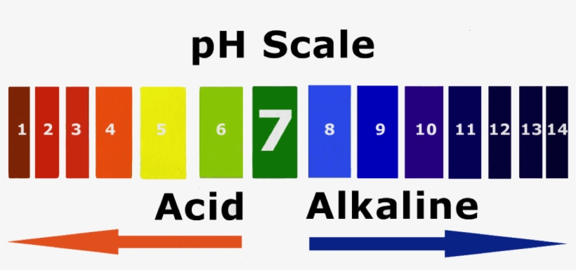 Alkaline Water Is Water With A Ph Level Greater Than - Level Ph Water Png, transparent png #9527353