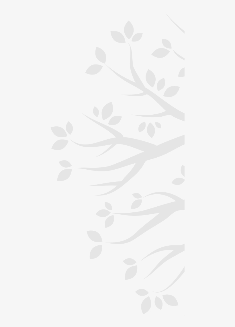 Branches Branches - Illustration, transparent png #9527488