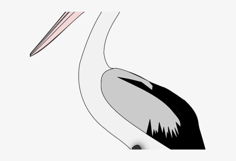 Pelican Png Transparent Images - Sketch, transparent png #9528240