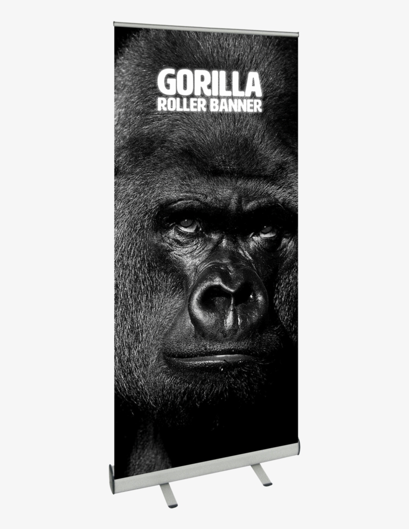 Gorilla Roller Banner - Monkey, transparent png #9528792