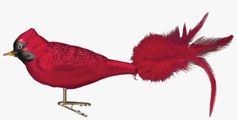 Old World Christmas Red Cardinal Glass Bird Ornament - Christmas Bird Ornament Png, transparent png #9528975