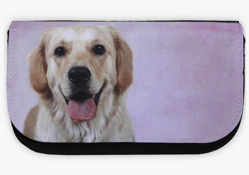 Golden Retriever, Pencil Case - Labrador Retriever, transparent png #9531129