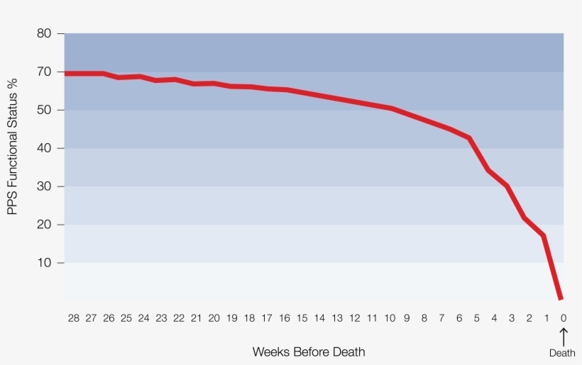 Plot, transparent png #9531137