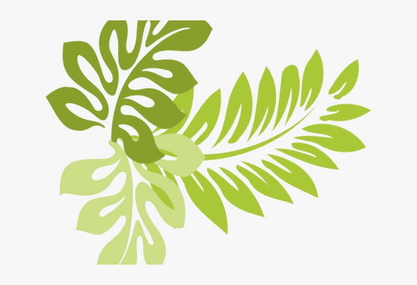 Tropics Clipart Jungle Leaves - Hibiscus Clip Art, transparent png #9531228