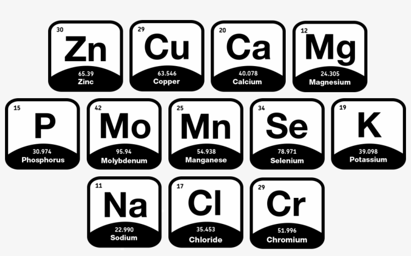 Hydration Impacts How Your Body Regulates Temperature,, transparent png #9531229