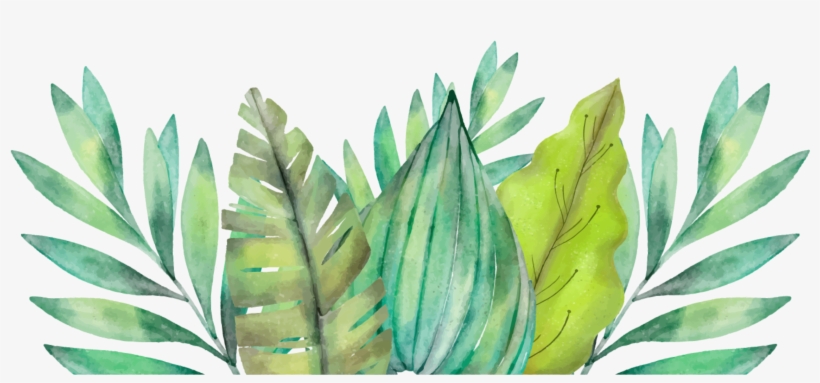 Leaf Amazon Rainforest Watercolor Painting Arecaceae - Motivational Watercolor Quotes, transparent png #9531286