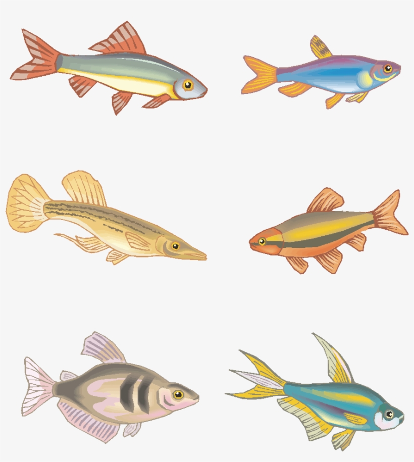 Vector Fish Hand Drawn Marine Animals Png And Image - Bony-fish, transparent png #9532175