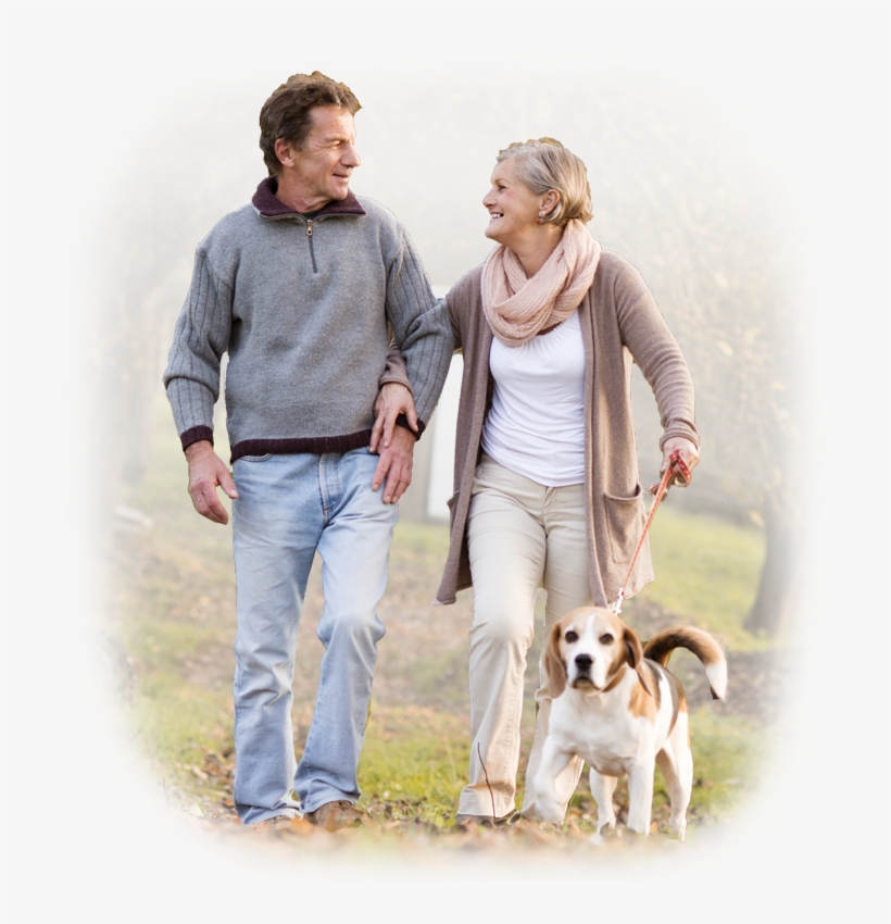 Image - Dog Walking, transparent png #9532686