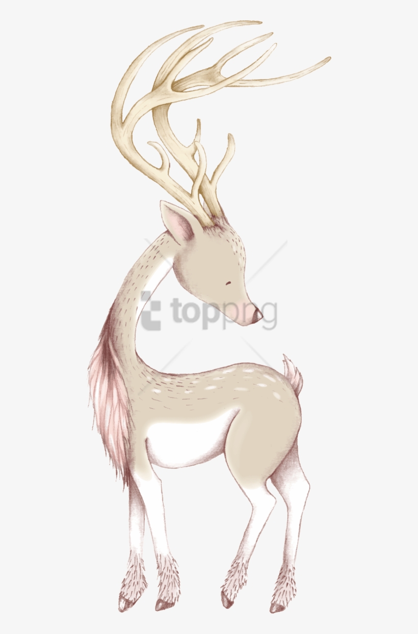 Free Png Download Cute Christmas Deer Ornaments & Oval - Reindeer, transparent png #9537434
