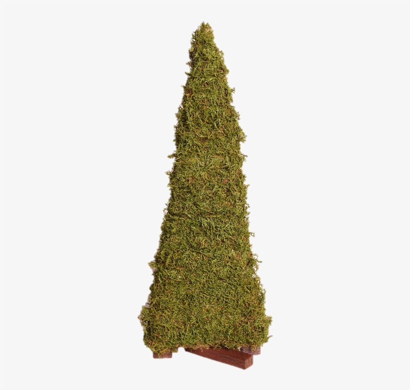Christmas Tree, transparent png #9537446