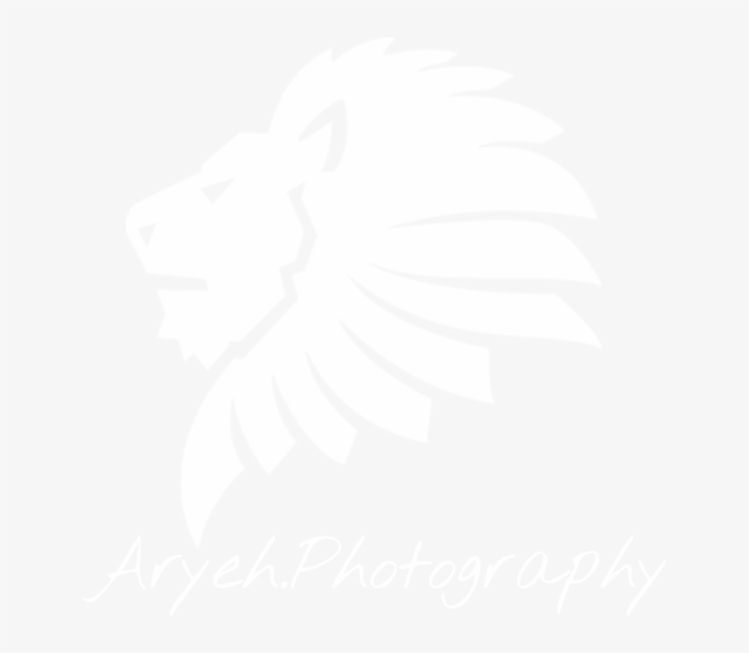 Aryeh Photography - Boxinlion Black And White Feat Mj Ultra, transparent png #9537943
