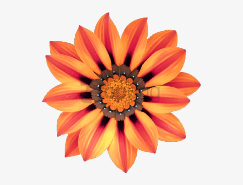 Free Png Download Transparent Flower Tumblr Png Images - Triangle Flower, transparent png #9538591