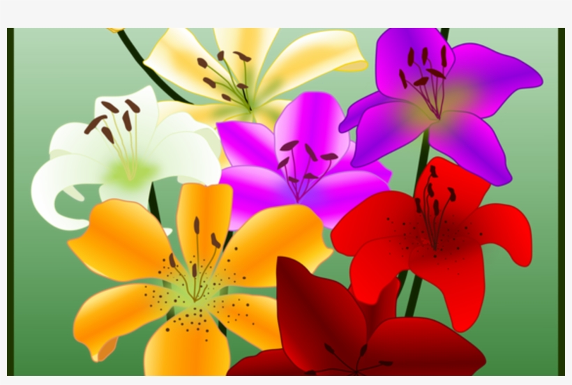 Flower Drawing Yellow Easter Lily Petal Free Commercial - Tiger Lily, transparent png #9539282