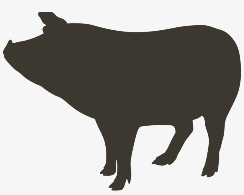 Pig - Cattle, transparent png #9539334