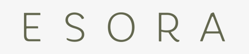 Es - Shard London Logo, transparent png #9540007