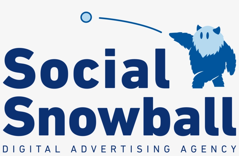 Bear, transparent png #9541182