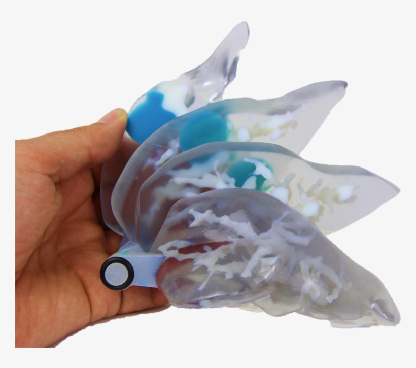 Liver - Fish, transparent png #9541191