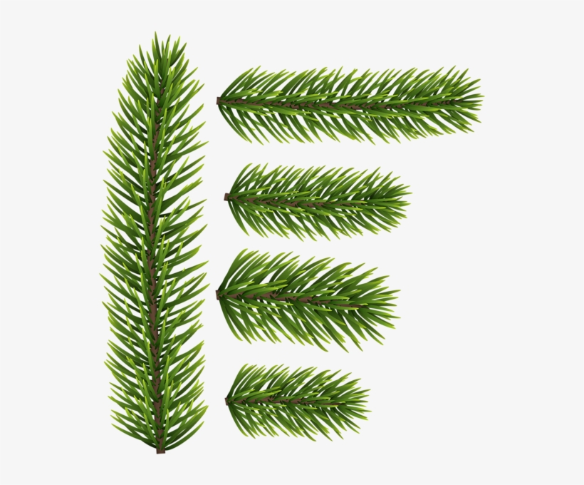 Pine Branch With Cones Png Clip Image Gallery Pine - Spruce Branch Png, transparent png #9541224