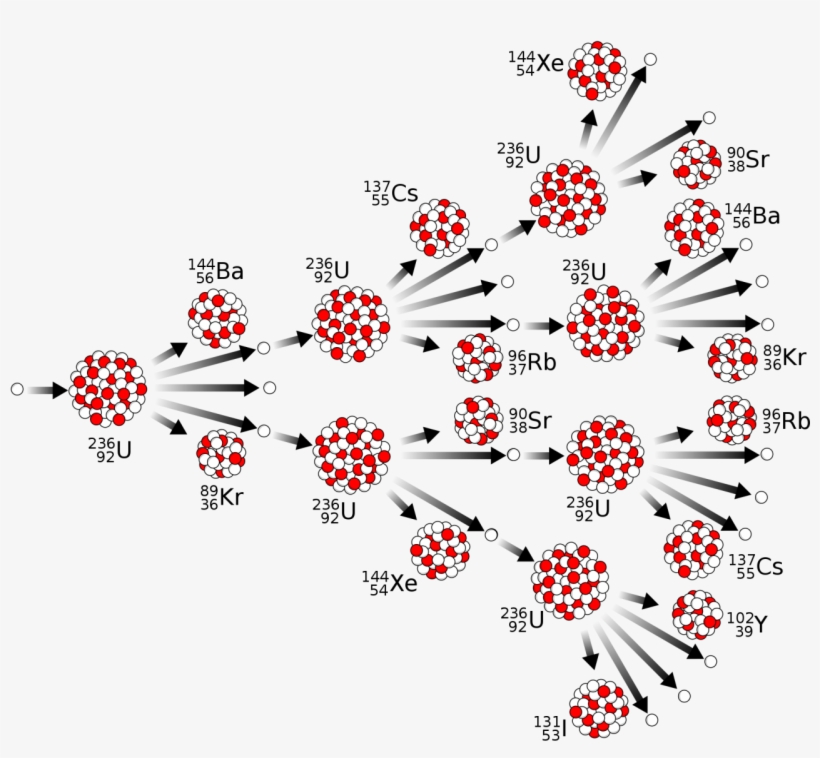 12 1 Nuclear Fission Chain Reaction - Uncontrolled Chain Reaction In Nuclear Fission, transparent png #9544094