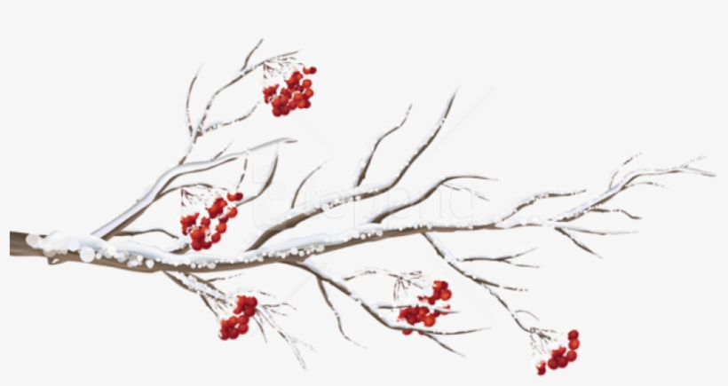Free Png Winter Branch Png - Winter Branch Clipart, transparent png #9544393