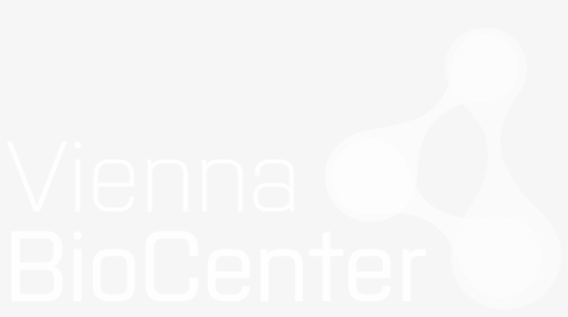 Logo Vienna Biocenter White White - Graphic Design, transparent png #9544513