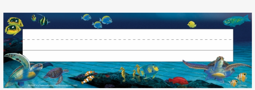 Tcr4369 Undersea Treasures Name Plate From Wyland Image - Sailfish, transparent png #9545090