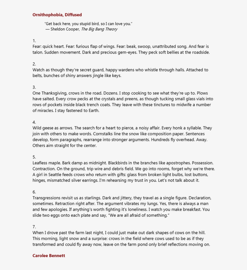 Carolee Bennett Is An Artist And Poet Living In Upstate - Document, transparent png #9547026