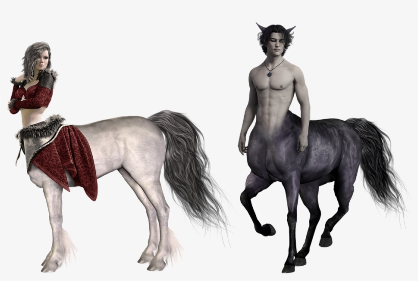 Centaur Centaurs Sagittarius Chiron Fantasy - Centaur On Transparent Background, transparent png #9547642