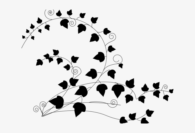 Drawn Vine Poison Ivy Vine - Clip Art, transparent png #9548544