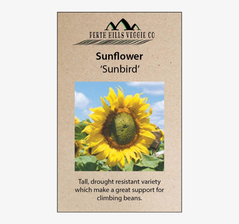 690 X 690 2 - Sunflower, transparent png #9549822