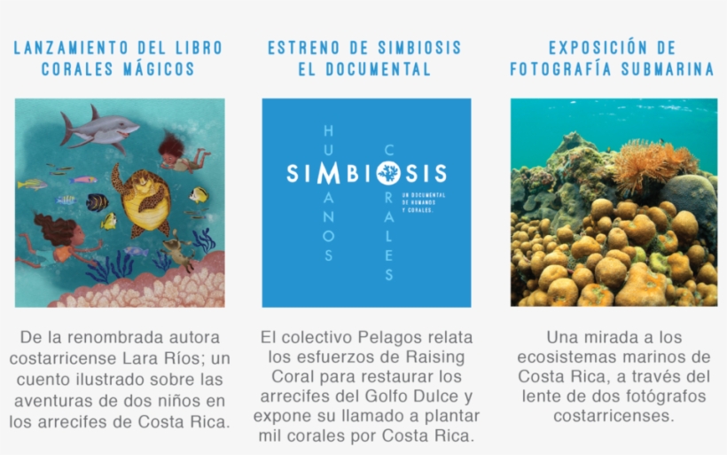 Invitacion Editable Latest-18 - Coral Reef, transparent png #9551050