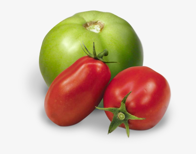 Pack Specs - Red And Green Tomato Png, transparent png #9551109