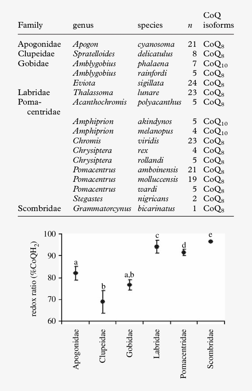 Natural Occurrence Of Coq Isoforms Among Coral Reef - Document, transparent png #9551159