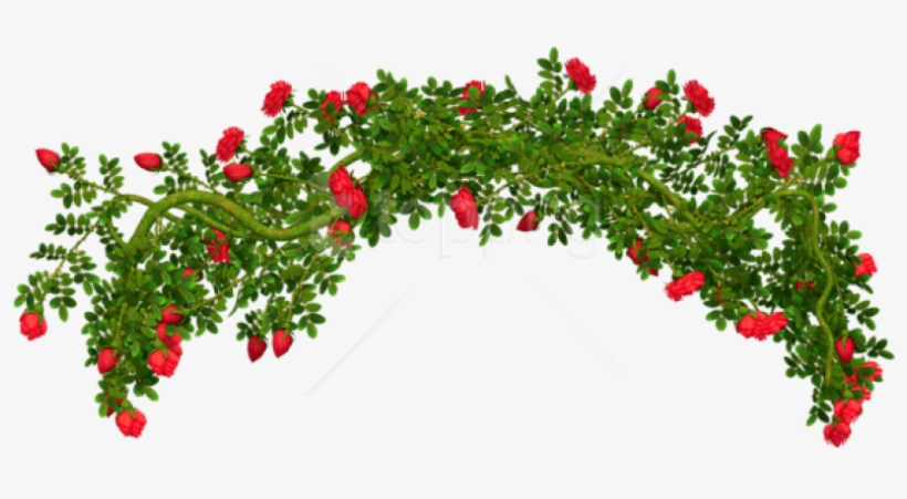 Free Png Download Rosebush Elementpicture Clipart Png - Rose Bush Png, transparent png #9551929