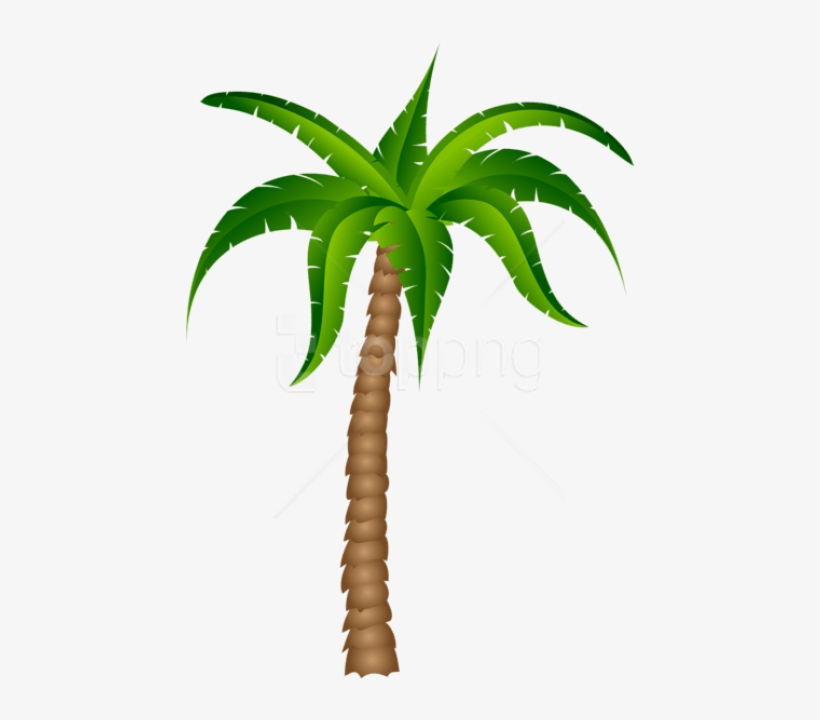 Free Png Download Palm Tree Transparent Picture Png - Palm Tree With No Background, transparent png #9553334