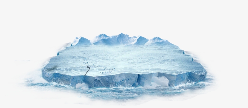 Antarctic Penguin Transprent, transparent png #9553895