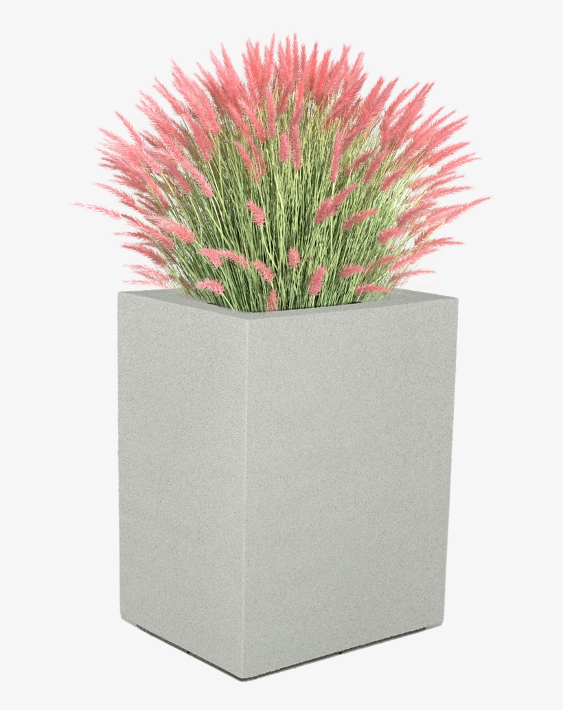 Shop Now - Flower Bush For Rendering, transparent png #9554106