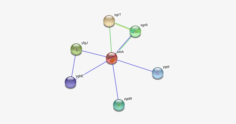 Circle, transparent png #9554456