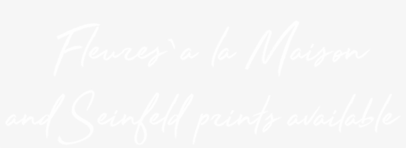 Prints Fleurs Seinfeld Small - Png Format Twitter Logo White, transparent png #9556280