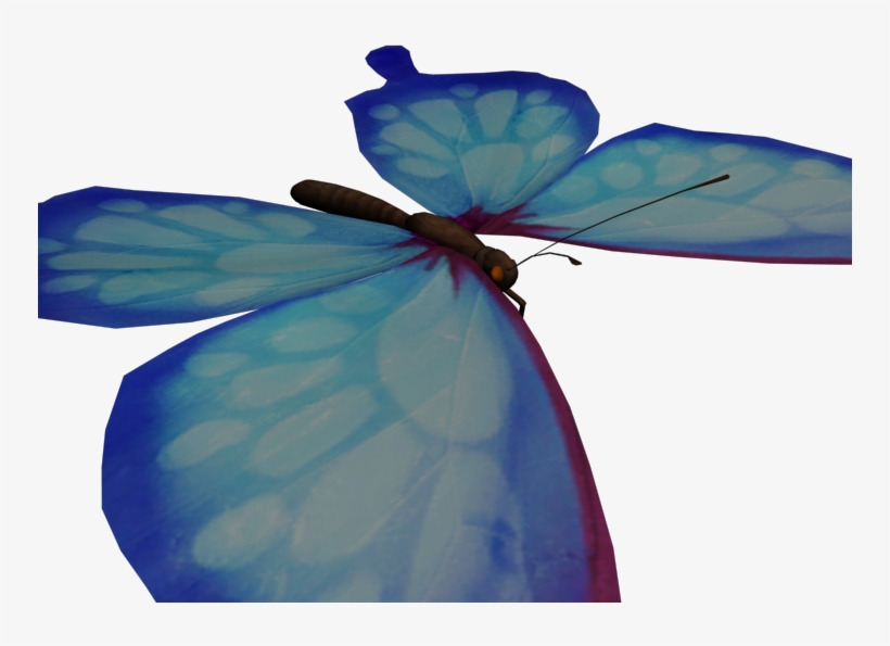 Butterfly, transparent png #9556910