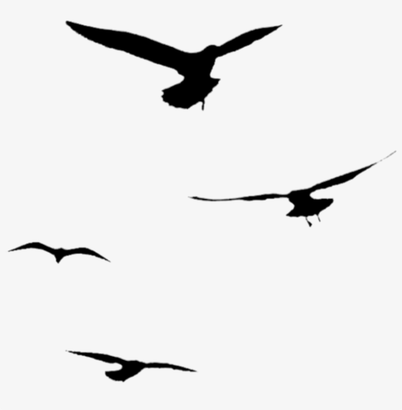 Silhouette Sticker - Flight, transparent png #9557087