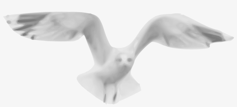 This Free Icons Png Design Of Seagull 01, transparent png #9557354