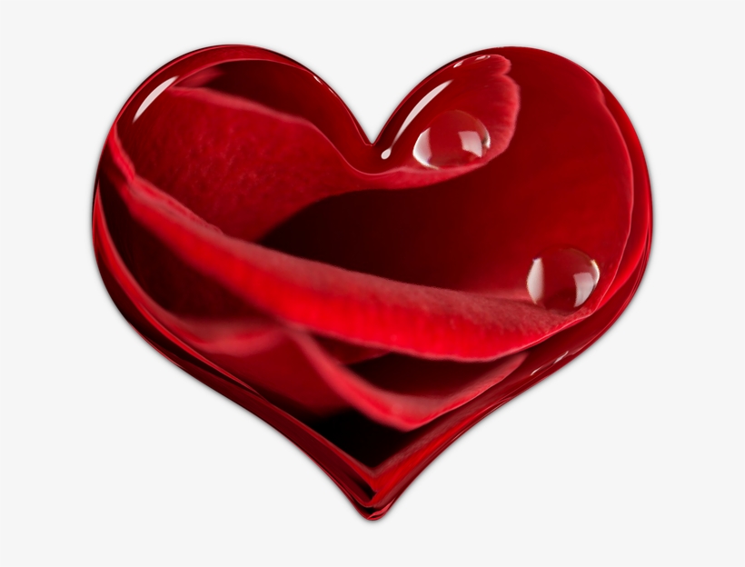 Heart, Flower Heart, Valentine, Red, Element, Love - Valentine's Day, transparent png #9558002