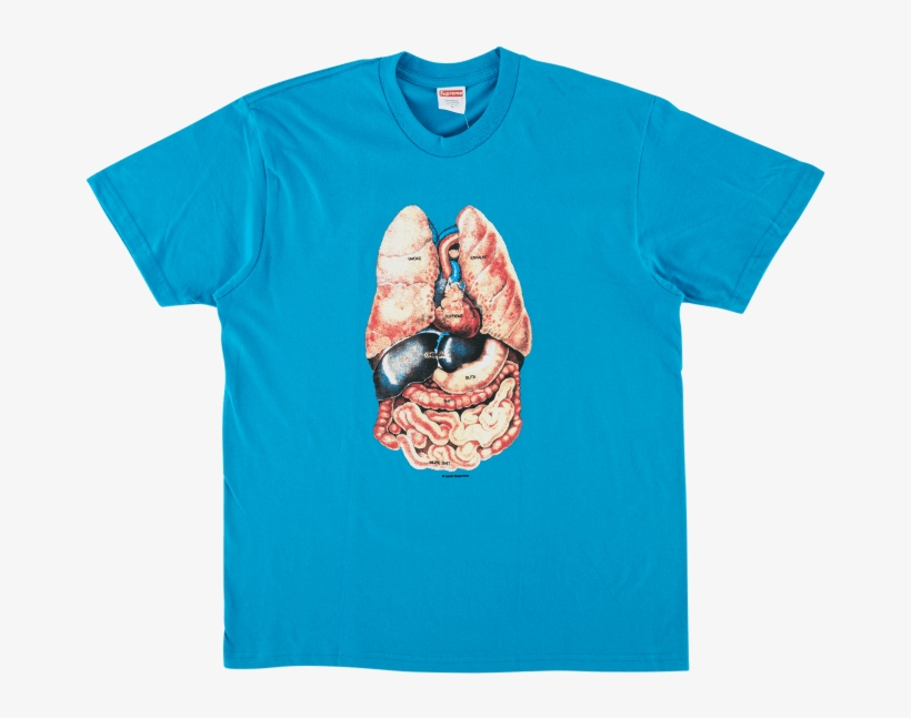 Supreme F W 18 Guts Tee, transparent png #9558210