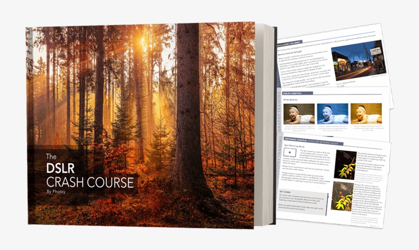 Click Add To Cart Now To Get Your Copy Of The Dslr - Autumn, transparent png #9558638