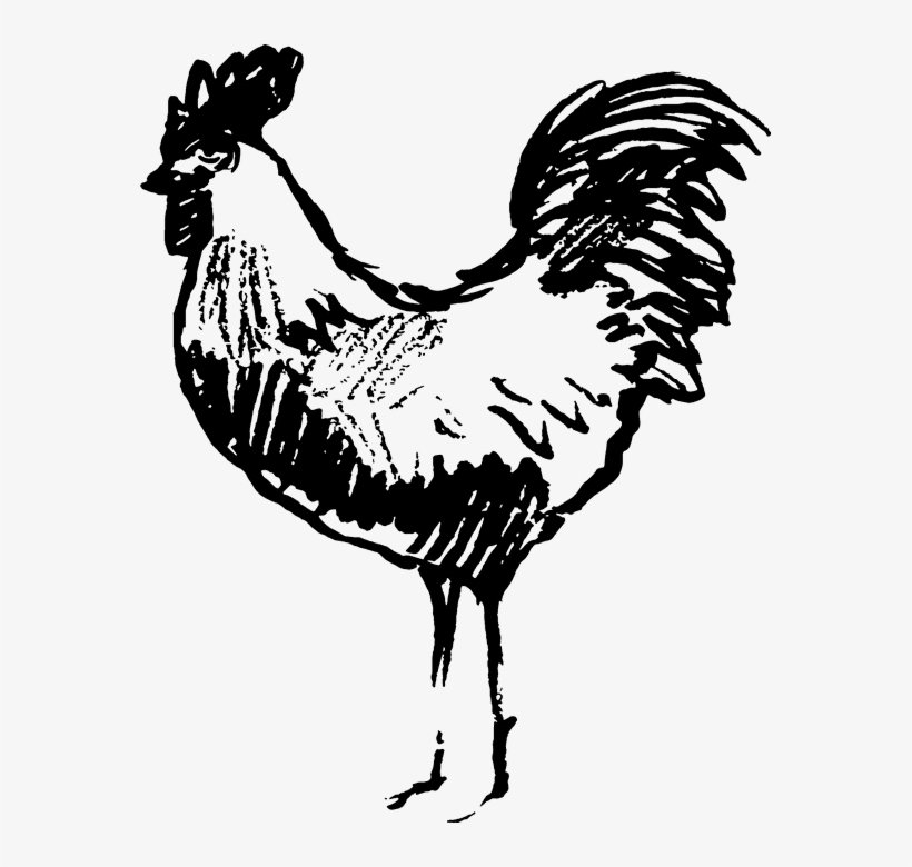 Sketched Rooster Rubber Stamp - Meat, transparent png #9558679