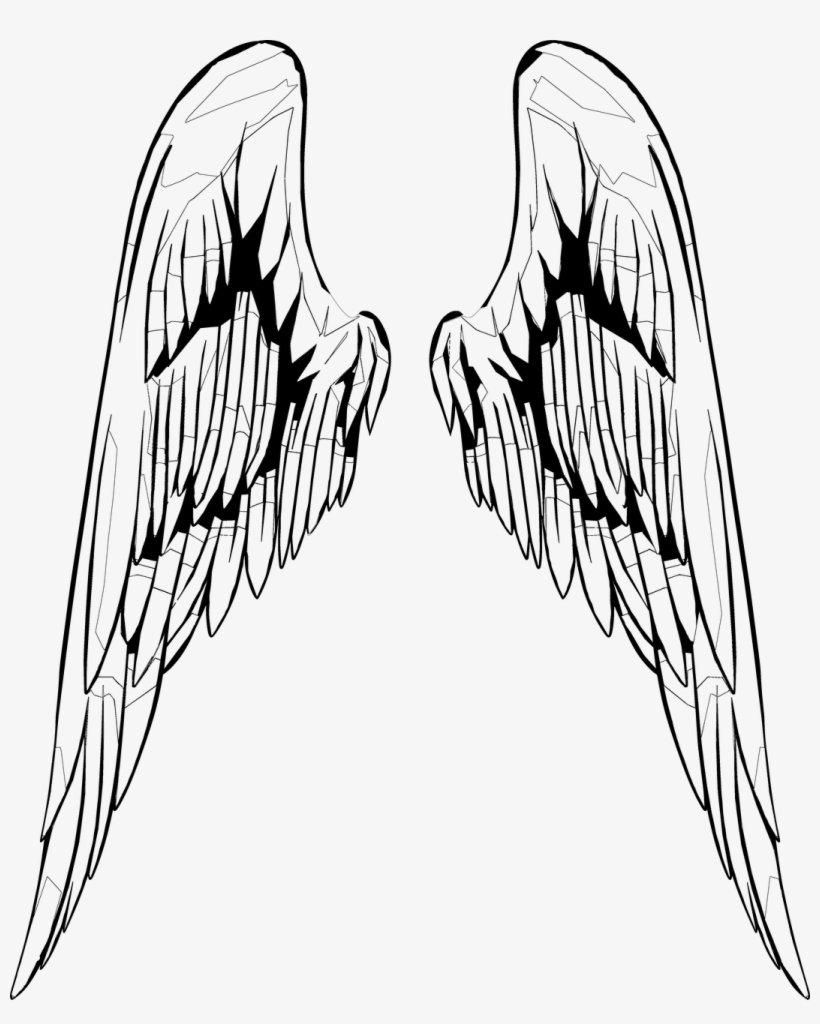Wings,wing,inside - Sketch, transparent png #9558741