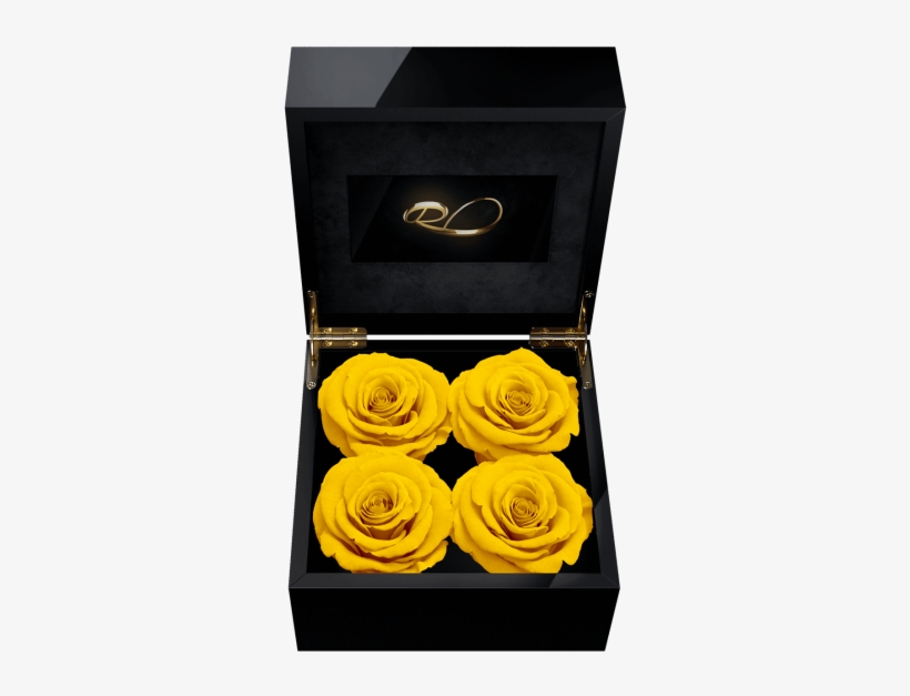 Luxury Video Flower Box Majestic Iv With 4 Preserved - Persian Buttercup, transparent png #9559061